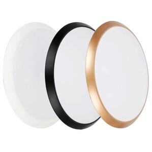Ceiling light 1