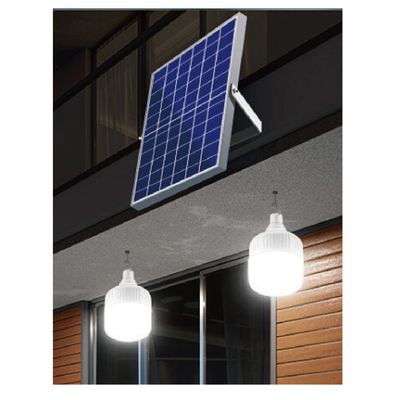 LWS Solar Light- T Bulb